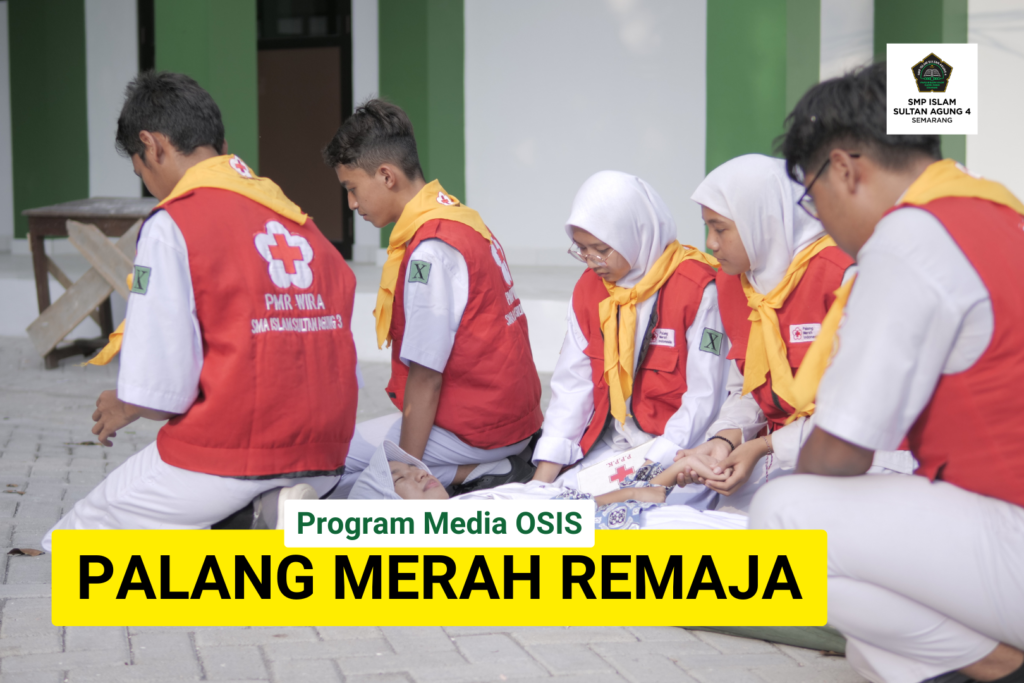 pmr
